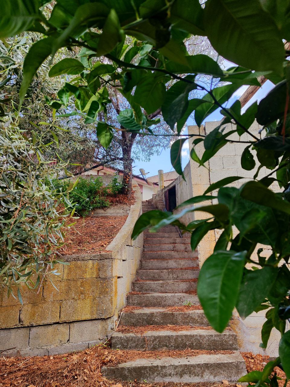 La primavera in Svizzera e Calabria è un viaggio tra storia e natura: in un borgo calabrese, una scalinata in pietra si apre tra alberi di agrumi in fiore.