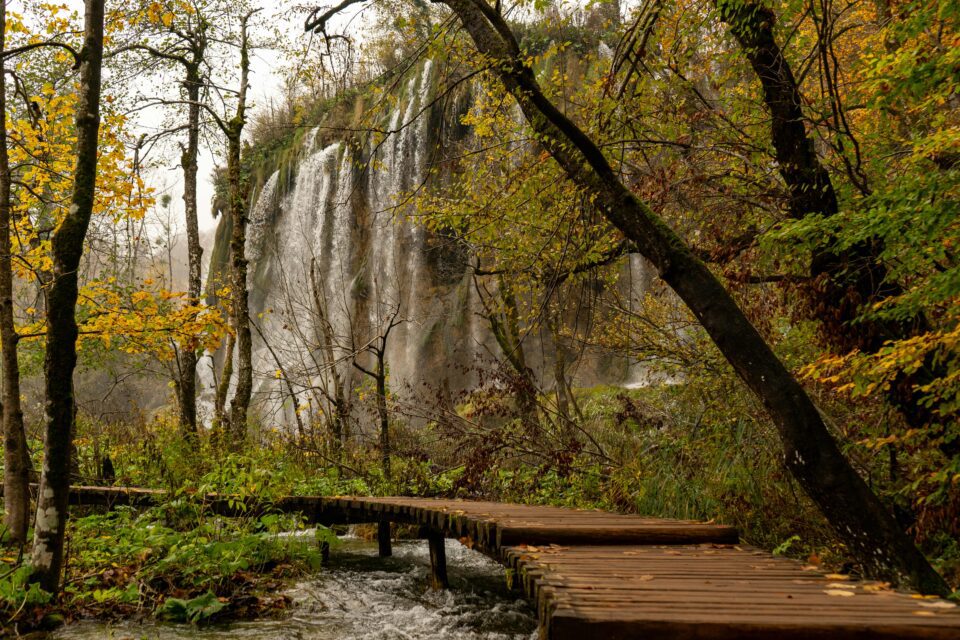 Sentiero in legno tra i boschi autunnali del Parco di Plitvice durante un viaggio vegetariano in Croazia