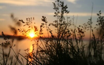 Saluto all’estate tra orto e natura: cosa mi ha insegnato agosto