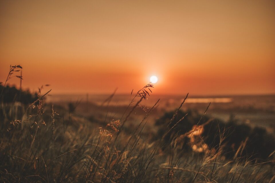 Tramonto settembrino nei campi, uno dei rituali di settembre per accogliere la nuova stagione con lentezza.